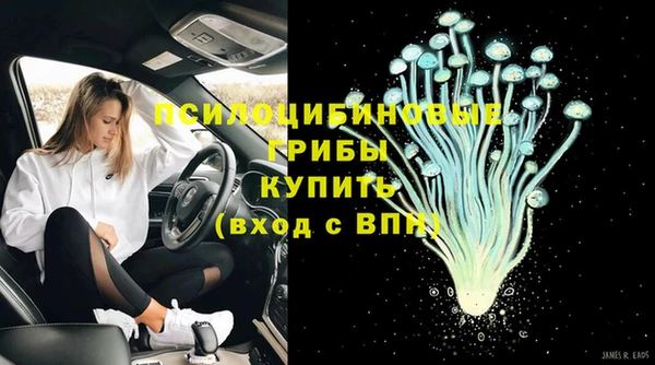 крисы Верея