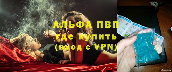 стаф Верхний Тагил