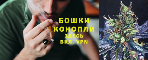 ГАЛЛЮЦИНОГЕННЫЕ ГРИБЫ Бородино