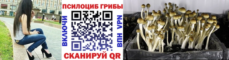 Галлюциногенные грибы прущие грибы  Купить закладки  Пролетарск 